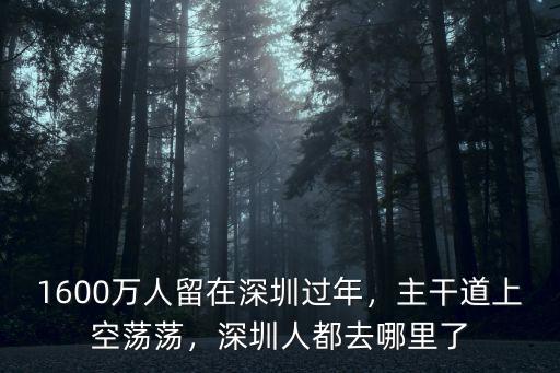 魯文鋒深圳哪里人,深圳人都去哪里了