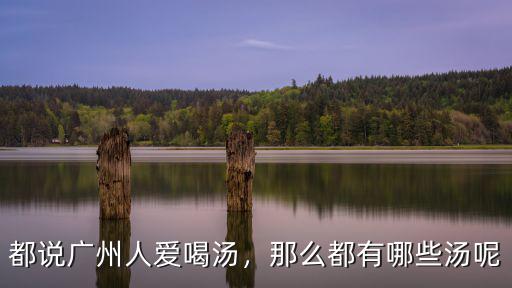 都說廣州人愛喝湯，那么都有哪些湯呢