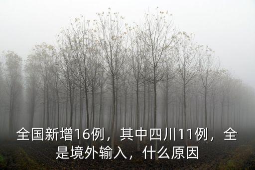 廣東境外輸入病例共有多少例,廣東境外輸入病歷增加了