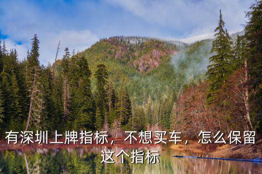 有深圳上牌指標(biāo)，不想買車，怎么保留這個指標(biāo)