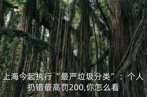 上海今起執(zhí)行“最嚴(yán)垃圾分類”：個人扔錯最高罰200,你怎么看