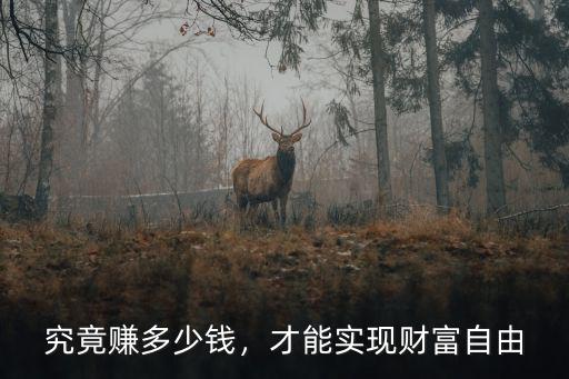 究竟賺多少錢，才能實現財富自由