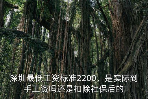 深圳社保最低繳費工資標準是多少,深圳最低工資標準2200