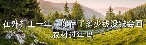 蘇州打工一年能存多少,在外打工一年