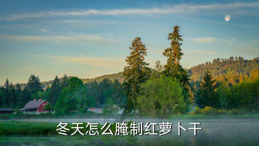 廣東的胡蘿卜干怎么做,冬天怎么腌制紅蘿卜干