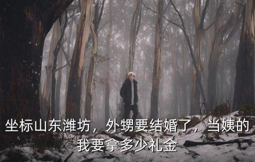 坐標山東濰坊，外甥要結婚了，當姨的我要拿多少禮金