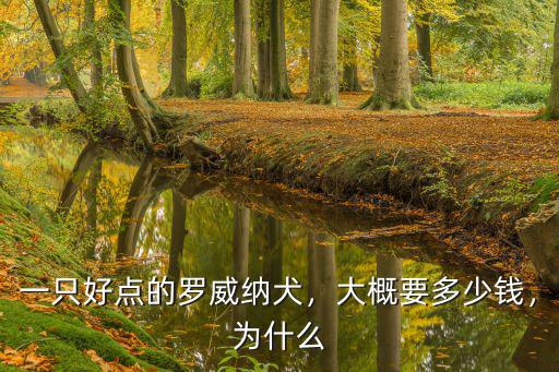 溫州羅威納犬多少錢一只,一只好點的羅威納犬