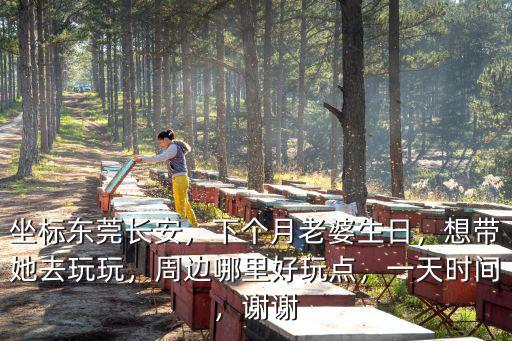東莞長安附近哪里可以看男女,東莞長安哪里好玩