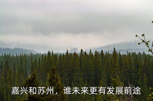 廣州和蘇州哪里更有發展,想去蘇州發展