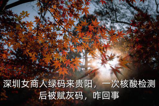 深圳女商人綠碼來貴陽，一次核酸檢測后被賦灰碼，咋回事