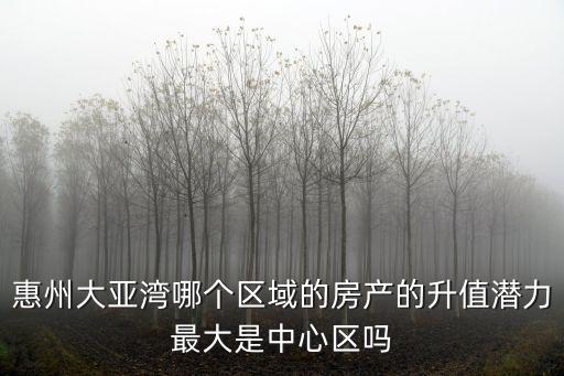 惠州大亞灣最中心的房子怎么樣,惠州大亞灣怎么樣