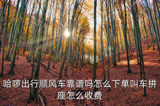 河源出行順風(fēng)車怎么計費,哈啰出行順風(fēng)車靠譜嗎