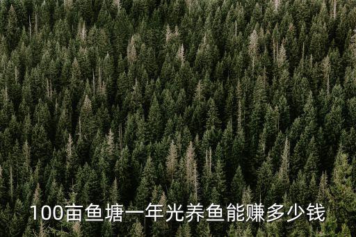 深圳承包魚塘一年能掙多少錢,一年后能掙多少錢