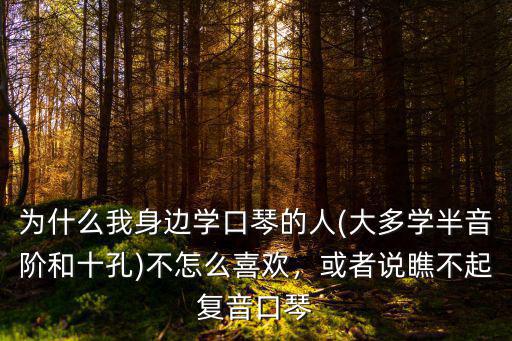 深圳哪里可以學(xué)十孔口琴,七孔口琴與十孔口琴哪種好學(xué)