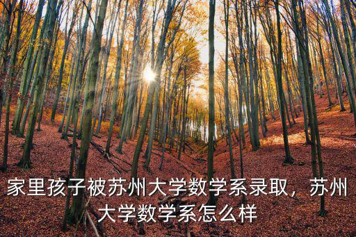 蘇州大學(xué)數(shù)學(xué)系有多少研究生,蘇州大學(xué)數(shù)學(xué)系怎么樣