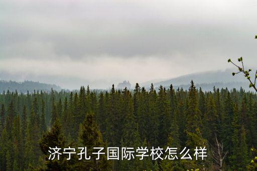 濟寧國際孔子學校教師績效工資多少,濟寧孔子國際學校怎么樣