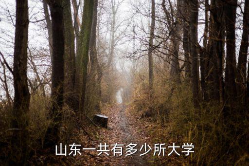 山東一共有多少座大學,山東有哪些211大學