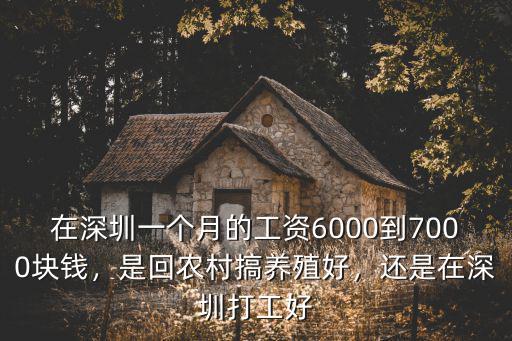在深圳一個月的工資6000到7000塊錢，是回農村搞養殖好，還是在深圳打工好