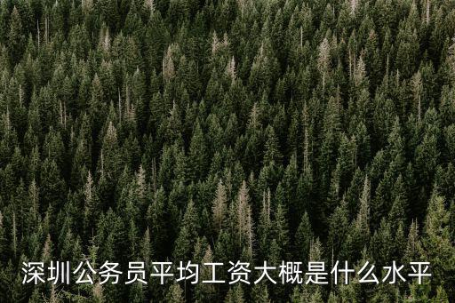 深圳公務(wù)員平均工資大概是什么水平