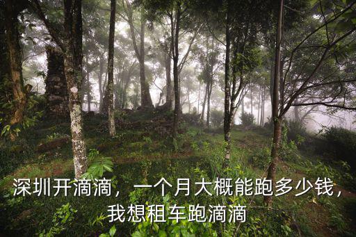 深圳開滴滴，一個月大概能跑多少錢，我想租車跑滴滴