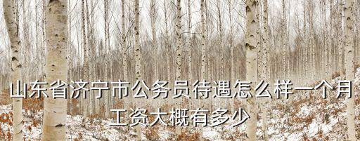 青島合計有多少公務員最新公示,有多少名公務員