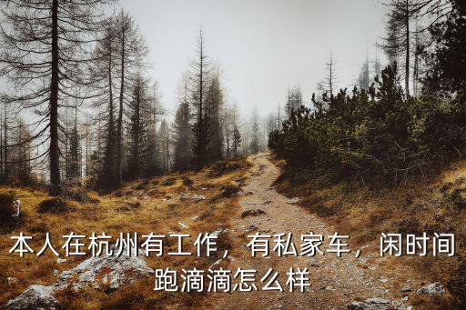 本人在杭州有工作，有私家車，閑時間跑滴滴怎么樣