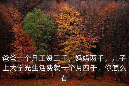 爸爸一個月工資三千，媽媽兩千，兒子上大學光生活費就一個月四千，你怎么看