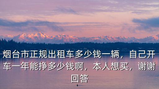 煙臺市正規出租車多少錢一輛，自己開車一年能掙多少錢啊，本人想買，謝謝回答