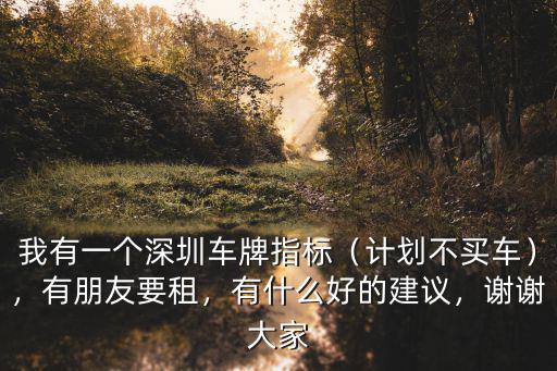 深圳一個人可以搖多少張車牌,我有一個深圳車牌指標