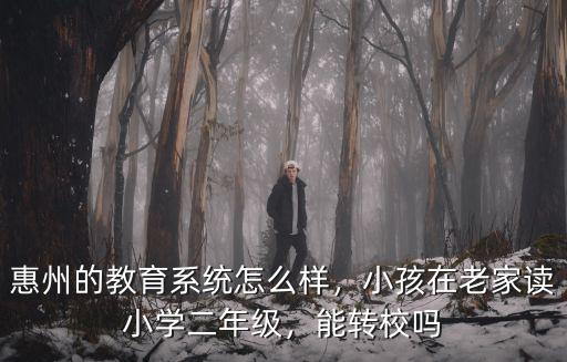惠州飛鳥教育怎么樣,惠州的教育系統怎么樣
