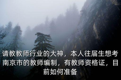 南京教師考編案例多少分,有教師資格證