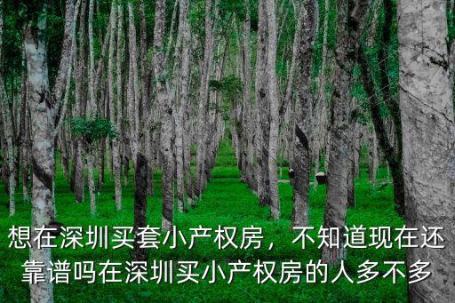 想在深圳買套小產權房，不知道現在還靠譜嗎在深圳買小產權房的人多不多