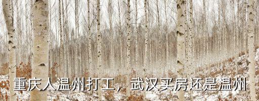 重慶人溫州打工，武漢買房還是溫州