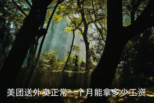 美團(tuán)送外賣正常一個(gè)月能拿多少工資