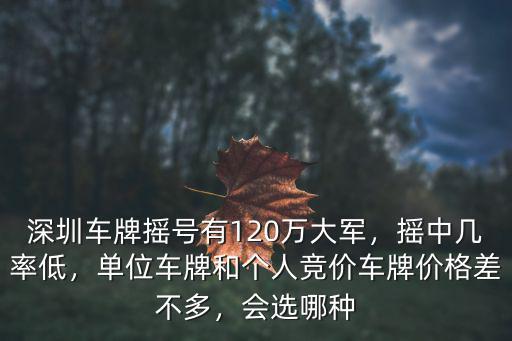 深圳怎么參加車牌竟拍,深圳車牌是怎么競(jìng)價(jià)的