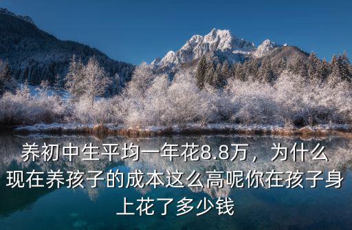 養初中生平均一年花8.8萬，為什么現在養孩子的成本這么高呢你在孩子身上花了多少錢
