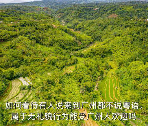 廣州有多少人不受歡迎,能受廣州人歡迎嗎
