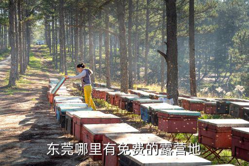 東莞哪里有免費的露營地