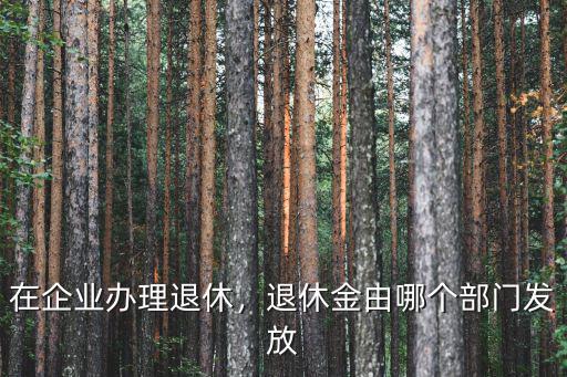 在企業辦理退休，退休金由哪個部門發放