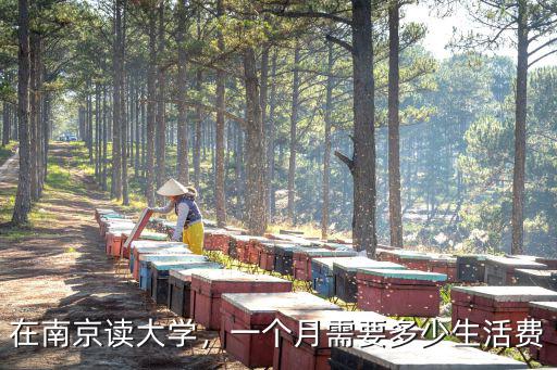 南京大些一年學費多少,在南京讀大學