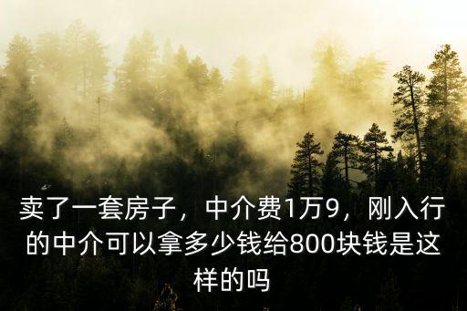 賣了一套房子，中介費(fèi)1萬9，剛?cè)胄械闹薪榭梢阅枚嗌馘X給800塊錢是這樣的嗎