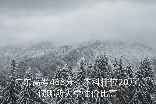 廣東高考466分，本科排位20萬，讀哪所大學性價比高
