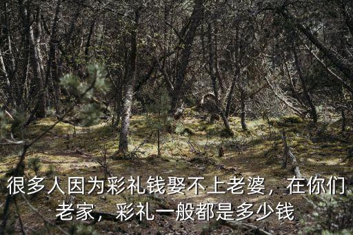 鹽城市彩禮錢一般多少錢,很多人因為彩禮錢娶不上老婆