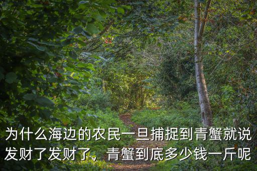溫州野生青蟹多少錢一斤,青蟹一斤到底能買多少錢