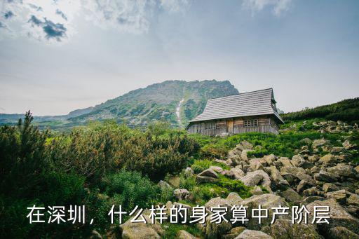 在深圳，什么樣的身家算中產階層