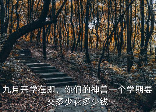在廣州讀小學一學期學費要多少錢,在廣州上私立小學要多少學費