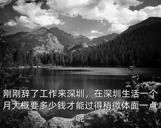 在深圳南山一個月正常開銷多少,在深圳一個人
