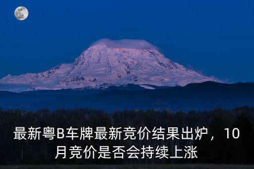 深圳牌11月競(jìng)價(jià)多少,六月沒參加深圳車牌競(jìng)價(jià)