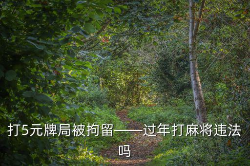 山東省打麻將多少錢以上違法,過年打麻將違法嗎