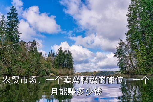 廣東農貿市場攤位多少錢一個月,一個月能賺多少錢
